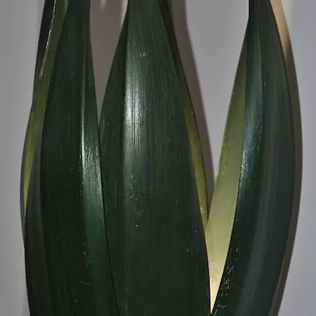 Partenope 3- Exclusive Apt. On The Seafront Apartment *